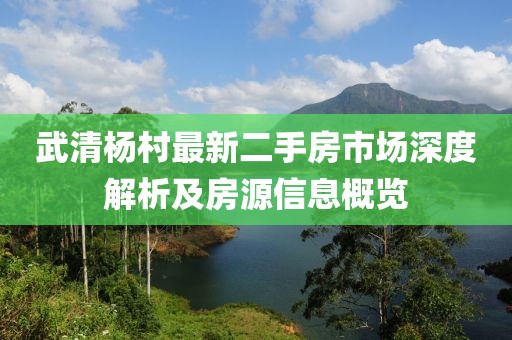 武清楊村最新二手房市場(chǎng)深度解析及房源信息概覽