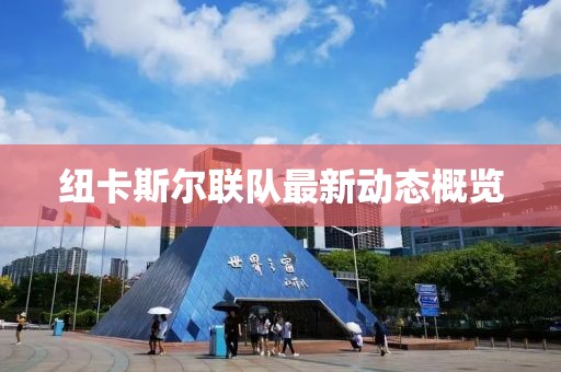紐卡斯?fàn)柭?lián)隊(duì)最新動(dòng)態(tài)概覽