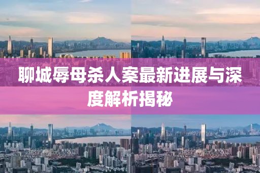 聊城辱母殺人案最新進展與深度解析揭秘