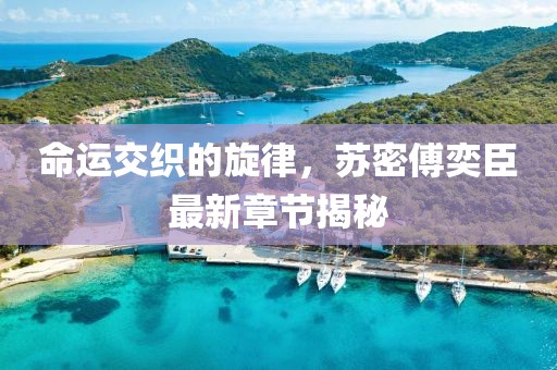 命運交織的旋律，蘇密傅奕臣最新章節揭秘