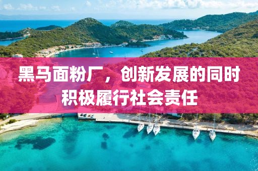 應用案例 第490頁