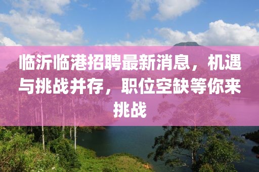 臨沂臨港招聘最新消息，機遇與挑戰(zhàn)并存，職位空缺等你來挑戰(zhàn)