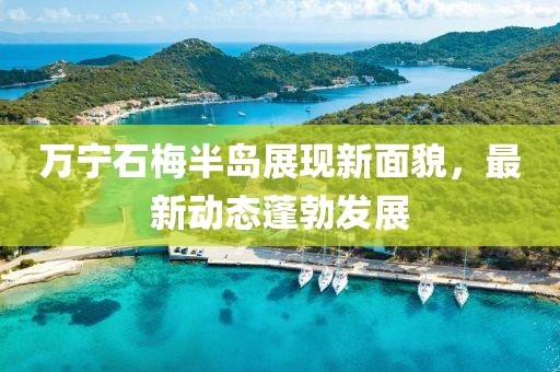萬寧石梅半島展現(xiàn)新面貌，最新動態(tài)蓬勃發(fā)展