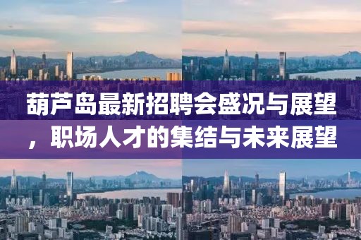 葫蘆島最新招聘會盛況與展望，職場人才的集結(jié)與未來展望