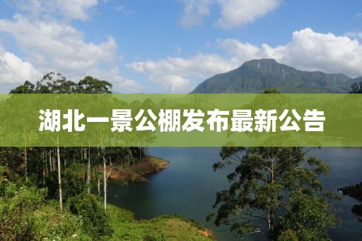 湖北一景公棚發(fā)布最新公告