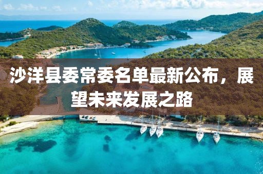 沙洋縣委常委名單最新公布，展望未來發(fā)展之路