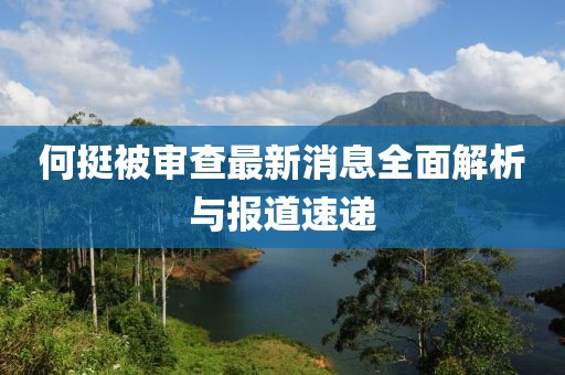 何挺被審查最新消息全面解析與報(bào)道速遞
