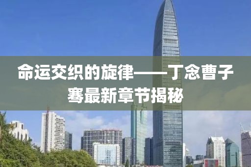 命運(yùn)交織的旋律——丁念曹子騫最新章節(jié)揭秘