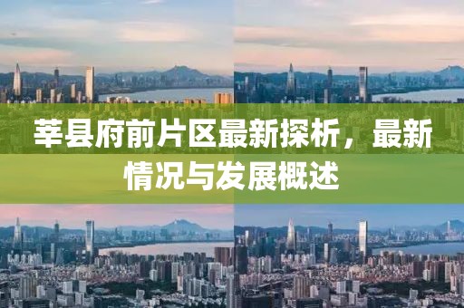 莘縣府前片區最新探析，最新情況與發(fā)展概述