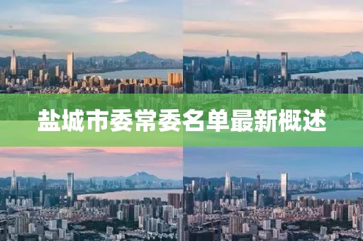 鹽城市委常委名單最新概述
