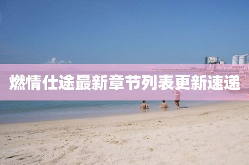 燃情仕途最新章節列表更新速遞
