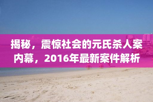 揭秘，震驚社會的元氏殺人案內幕，2016年最新案件解析