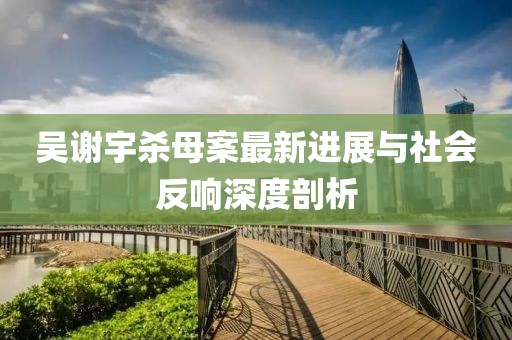 吳謝宇殺母案最新進(jìn)展與社會(huì)反響深度剖析