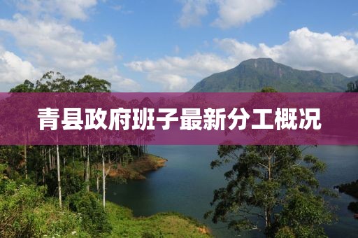 青縣政府班子最新分工概況