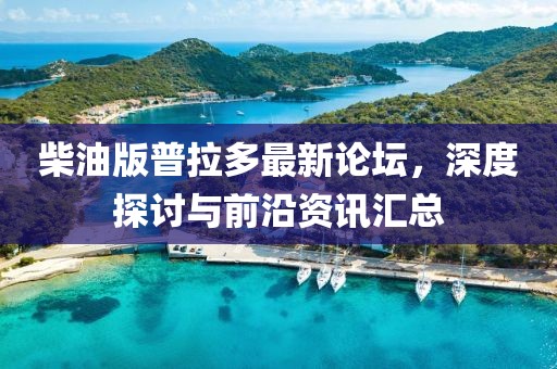 柴油版普拉多最新論壇，深度探討與前沿資訊匯總