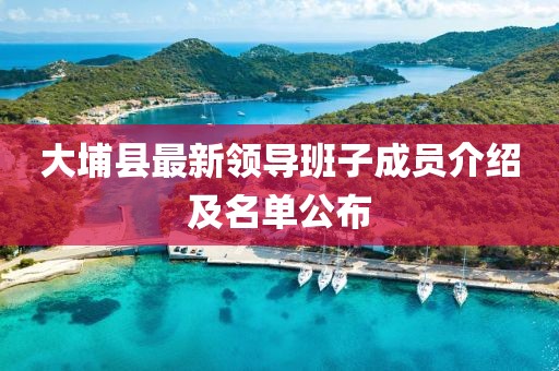 大埔縣最新領導班子成員介紹及名單公布