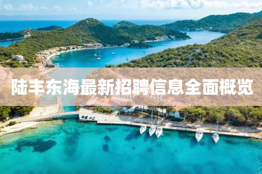 陸豐東海最新招聘信息全面概覽