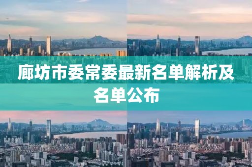 廊坊市委常委最新名單解析及名單公布