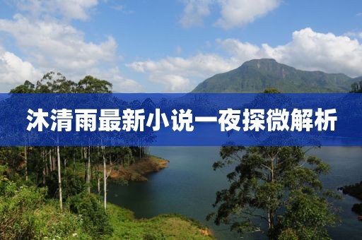 沐清雨最新小說(shuō)一夜探微解析