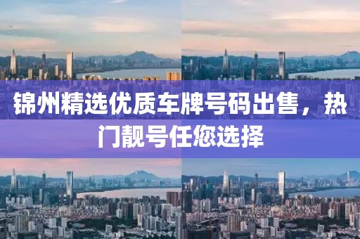 錦州精選優(yōu)質(zhì)車牌號碼出售，熱門靚號任您選擇