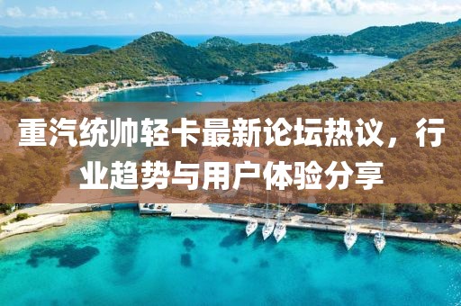 重汽統(tǒng)帥輕卡最新論壇熱議，行業(yè)趨勢與用戶體驗分享