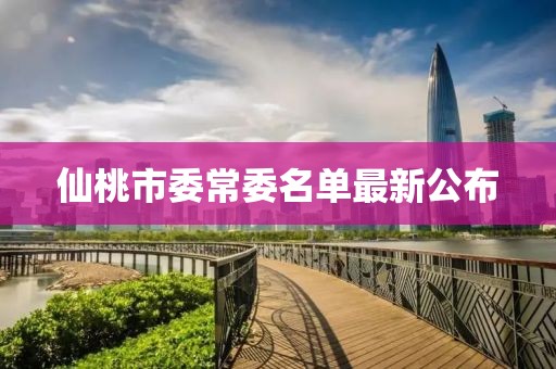 仙桃市委常委名單最新公布