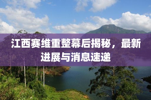 江西賽維重整幕后揭秘，最新進展與消息速遞