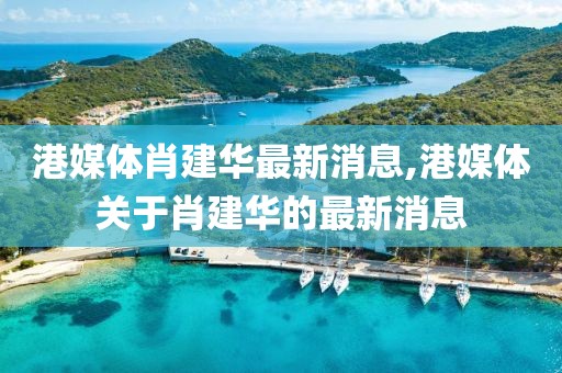 港媒體肖建華最新消息,港媒體關(guān)于肖建華的最新消息