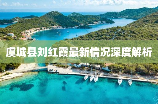 虞城縣劉紅霞最新情況深度解析