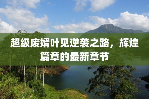 超級廢婿葉見逆襲之路，輝煌篇章的最新章節(jié)