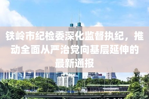 鐵嶺市紀檢委深化監(jiān)督執(zhí)紀，推動全面從嚴治黨向基層延伸的最新通報