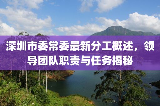深圳市委常委最新分工概述，領(lǐng)導(dǎo)團隊職責與任務(wù)揭秘