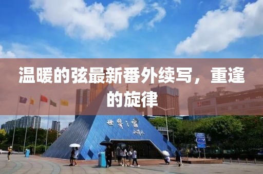 溫暖的弦最新番外續(xù)寫，重逢的旋律