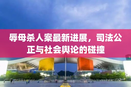 辱母殺人案最新進(jìn)展，司法公正與社會(huì)輿論的碰撞