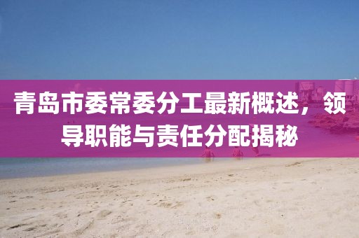 青島市委常委分工最新概述，領導職能與責任分配揭秘