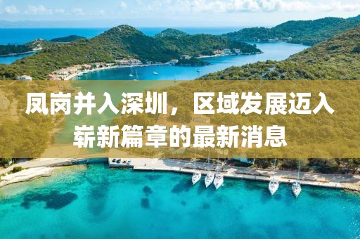 鳳崗并入深圳，區(qū)域發(fā)展邁入嶄新篇章的最新消息