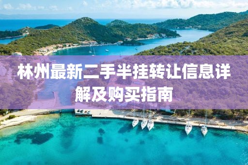 林州最新二手半掛轉(zhuǎn)讓信息詳解及購買指南
