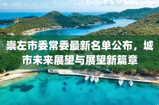 崇左市委常委最新名單公布，城市未來展望與展望新篇章