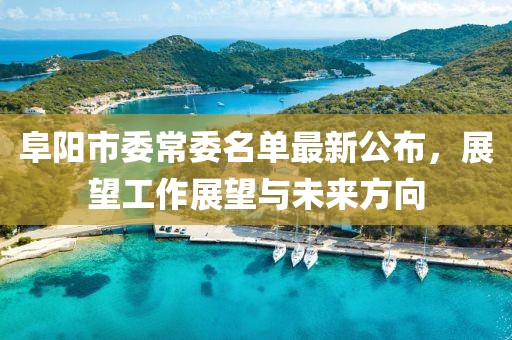 阜陽(yáng)市委常委名單最新公布，展望工作展望與未來(lái)方向