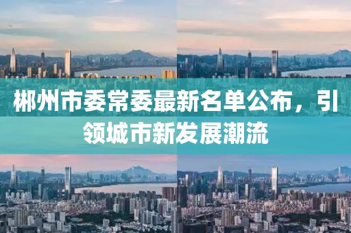 郴州市委常委最新名單公布，引領(lǐng)城市新發(fā)展潮流