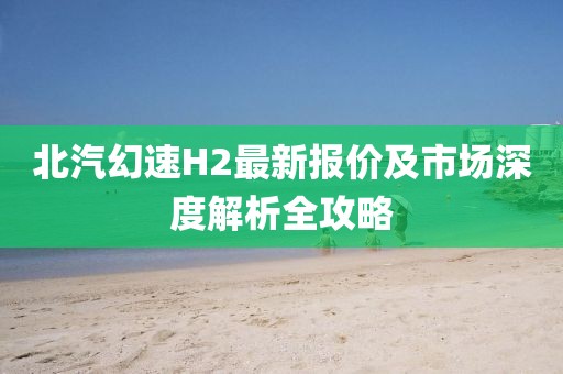 北汽幻速H2最新報價(jià)及市場(chǎng)深度解析全攻略