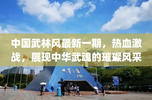 中國武林風(fēng)最新一期，熱血激戰，展現中華武魂的璀璨風(fēng)采