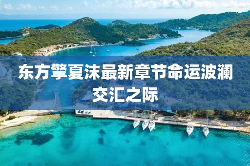東方擎夏沫最新章節(jié)命運波瀾交匯之際