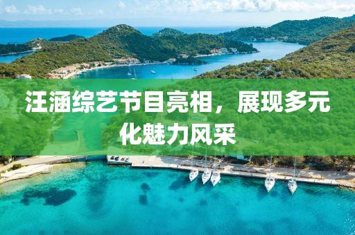 汪涵綜藝節(jié)目亮相，展現(xiàn)多元化魅力風(fēng)采