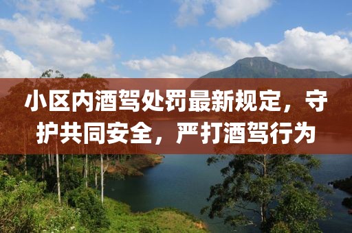小區(qū)內(nèi)酒駕處罰最新規(guī)定，守護(hù)共同安全，嚴(yán)打酒駕行為