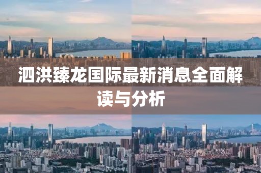 泗洪臻龍國際最新消息全面解讀與分析