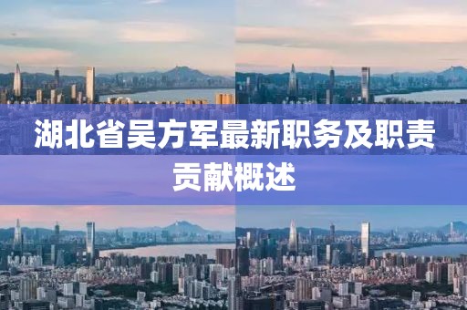 湖北省吳方軍最新職務(wù)及職責(zé)貢獻(xiàn)概述
