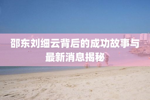 邵東劉細(xì)云背后的成功故事與最新消息揭秘