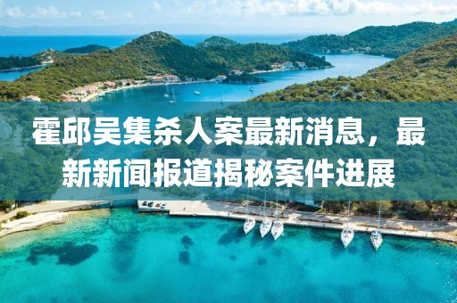 霍邱吳集殺人案最新消息，最新新聞報道揭秘案件進展