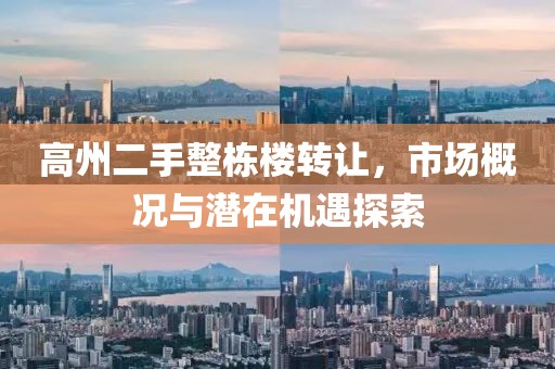 高州二手整棟樓轉(zhuǎn)讓，市場概況與潛在機遇探索